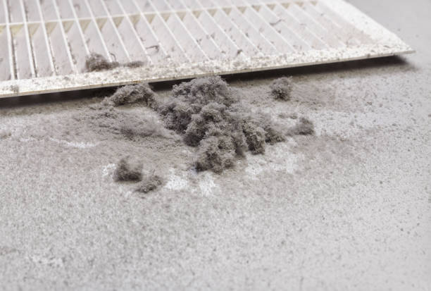 Best Professional Duct Cleaning Services  in Westmont, NJ